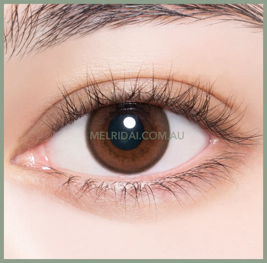 Enviecolor Contacts 1 Day 30 Pieces Chameau Brown Dia14.0Mm Bc8.6Mm
