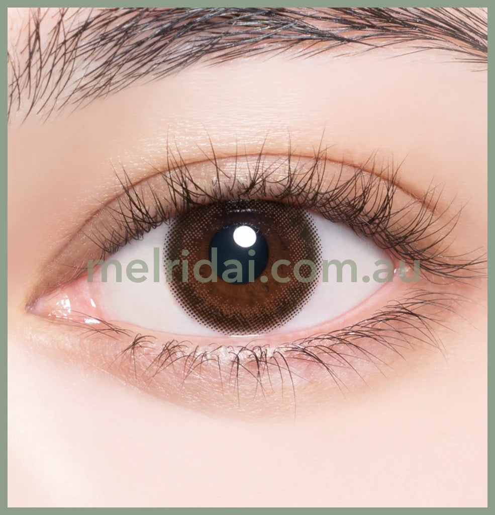 Enviecolor Contacts 1 Day 30 Pieces Plum Black Dia14.0Mm Bc8.6Mm