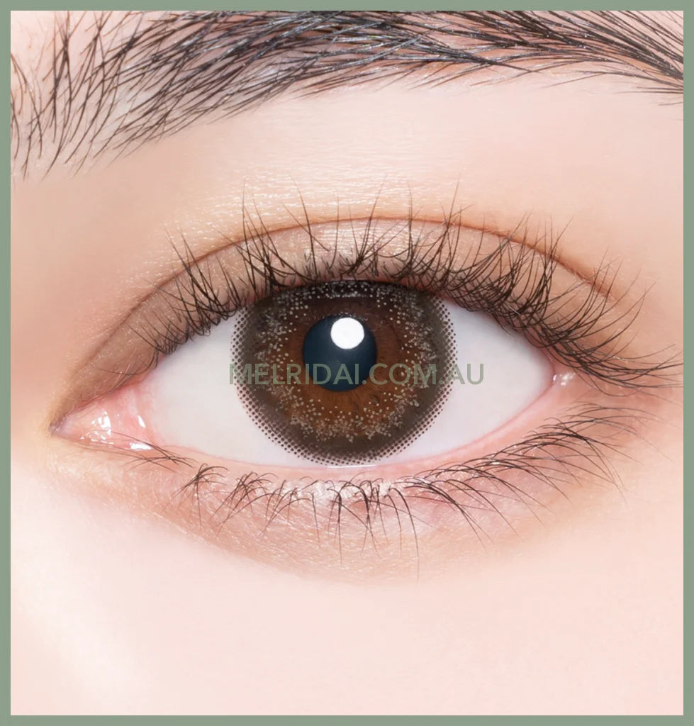 Enviecolor Contacts 1 Day 30 Pieces Shade Brown Dia14.0Mm Bc8.6Mm