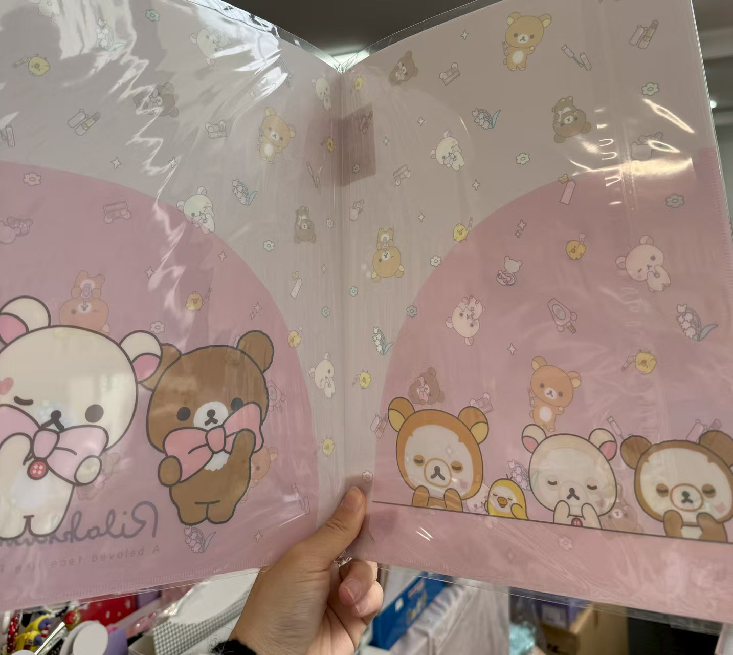 SAN-X | Rilakkuma Hardcover Double Clear Folder 310×235mm(A4) (Rilakkuma Makeup)