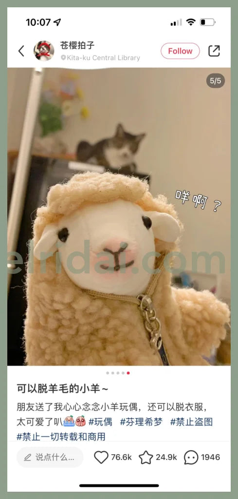 Felissimo 16.5*9*12Cm