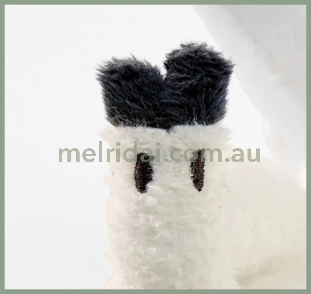 Felissimo 16.5*9*12Cm