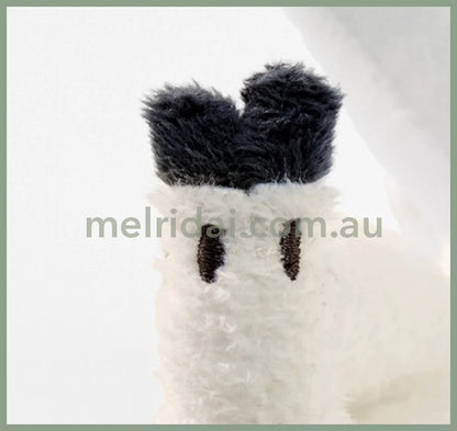 Felissimo 16.5*9*12Cm