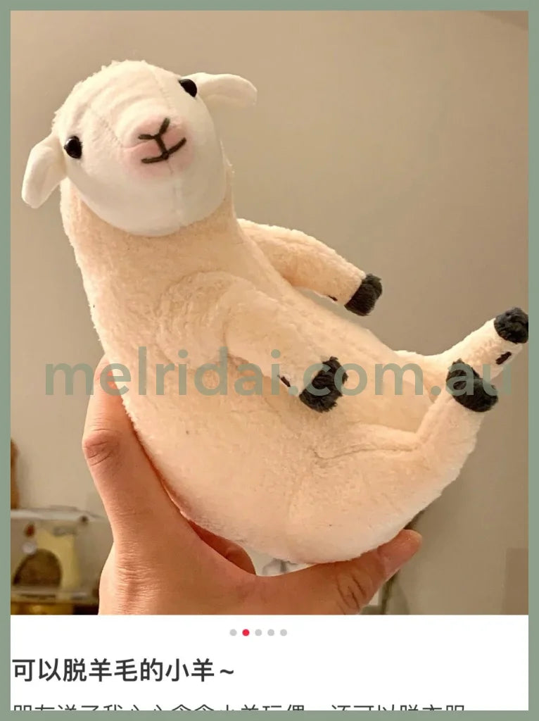 Felissimo 16.5*9*12Cm