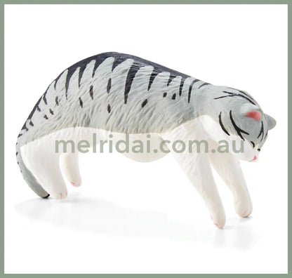 Felissiomo