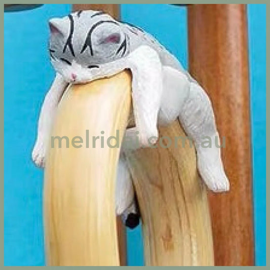 Felissiomo
