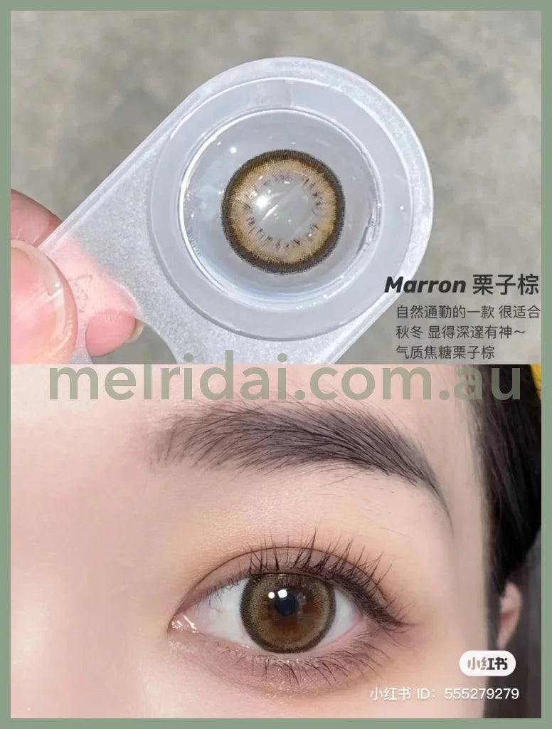 Fomomycolor Contact Lens 10 Pieces Marron Fomomy Dia14.2 Bc8.6