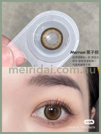 Fomomycolor Contact Lens 10 Pieces Marron Fomomy Dia14.2 Bc8.6