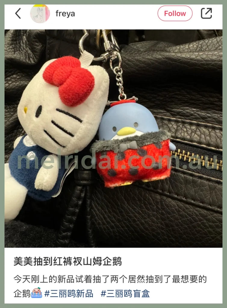 Sanrio | Secret Keychain Blind Box (Blue)