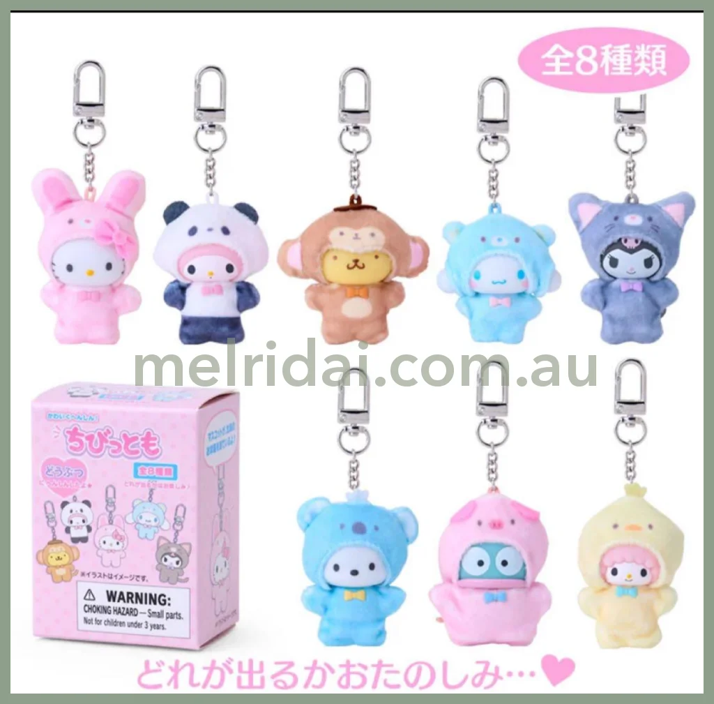 Sanrio Secret Box