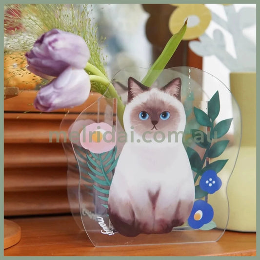 Mewji Cat Acrylic Vase Pen Stand (Bg) /