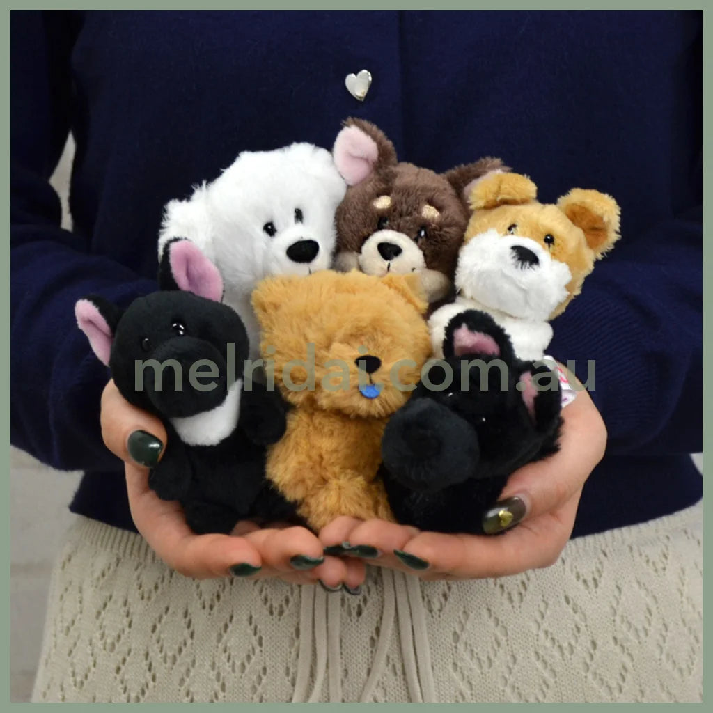 Nici 10Cm Chow Bb