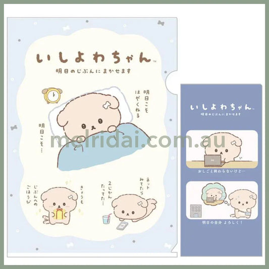 San-X | Plastic Document Holder Set/File & Ticket (A Set Of An A4 Clear Folder And A Smaller