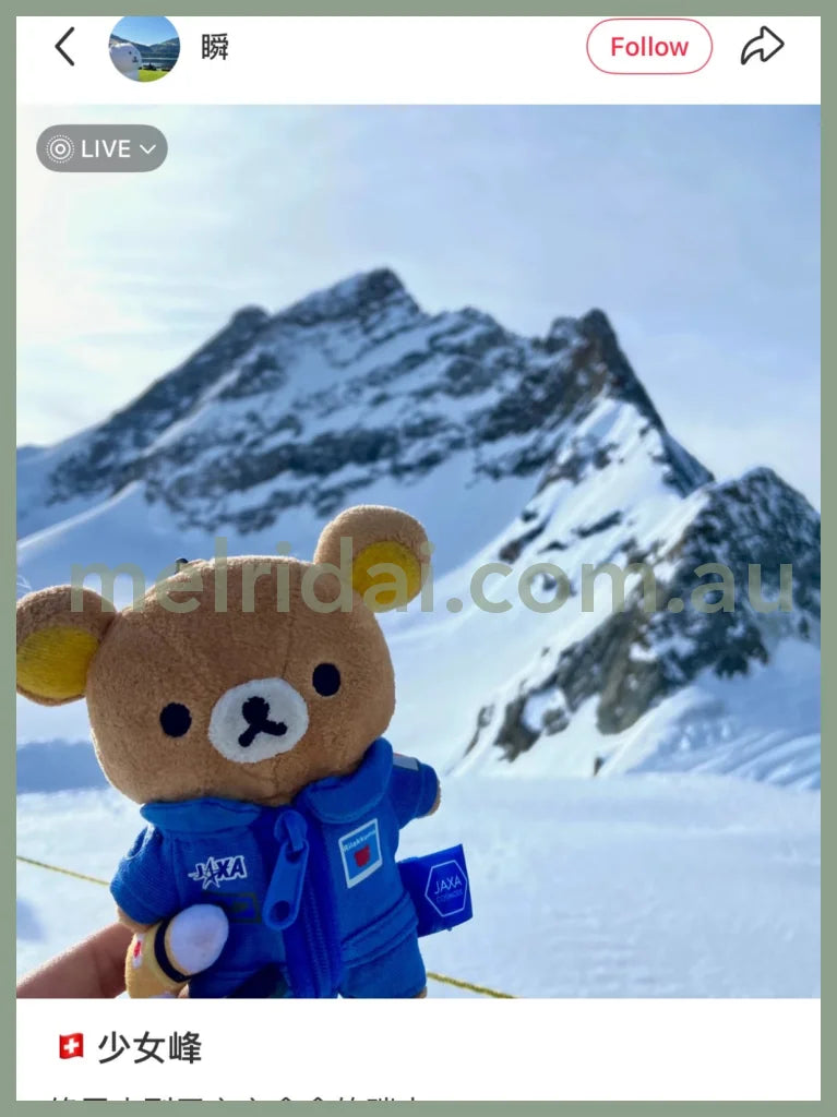 SAN-X | Rilakkuma Mascot Holder Plush Keychain bag Charm 14×10cm (JAXA LABEL)