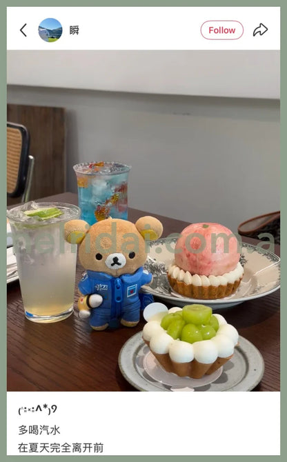 SAN-X | Rilakkuma Mascot Holder Plush Keychain bag Charm 14×10cm (JAXA LABEL)