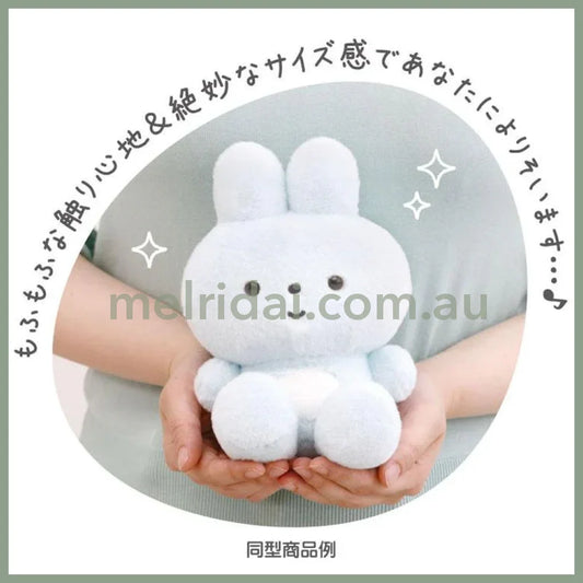 Pokan To Doshitano?- Yorisoi Pokanto Plush Toy - Pokantotan