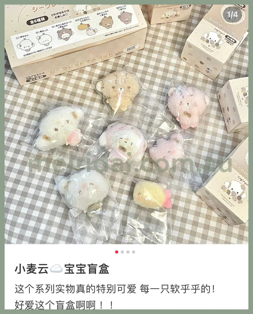 Sanrio | Handmade Bear Secret Mascot Cogimyun Blind Box /