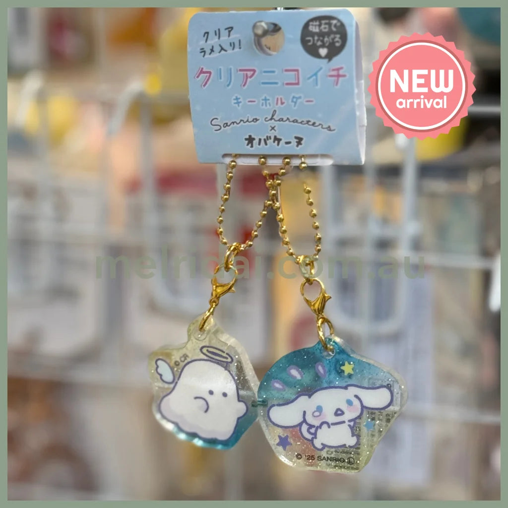 cin keychain set