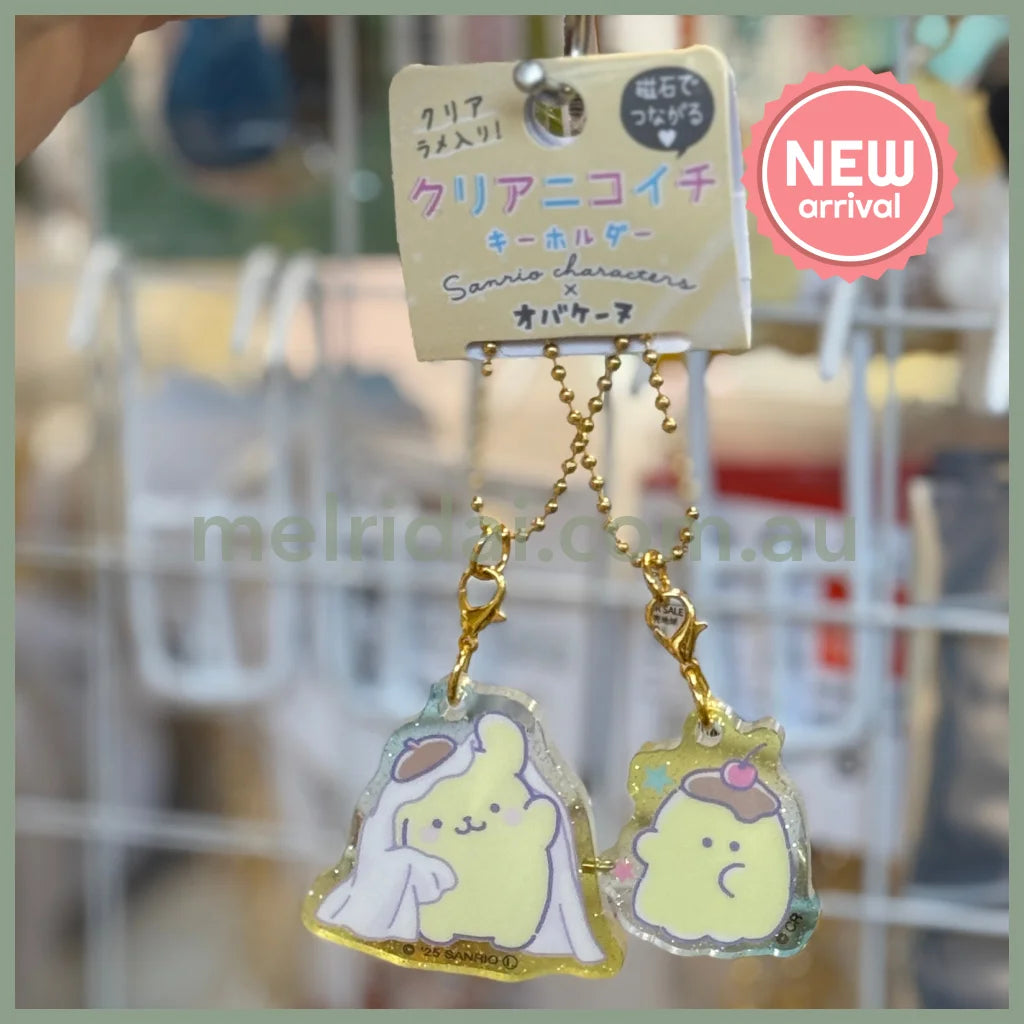 pn keychain set
