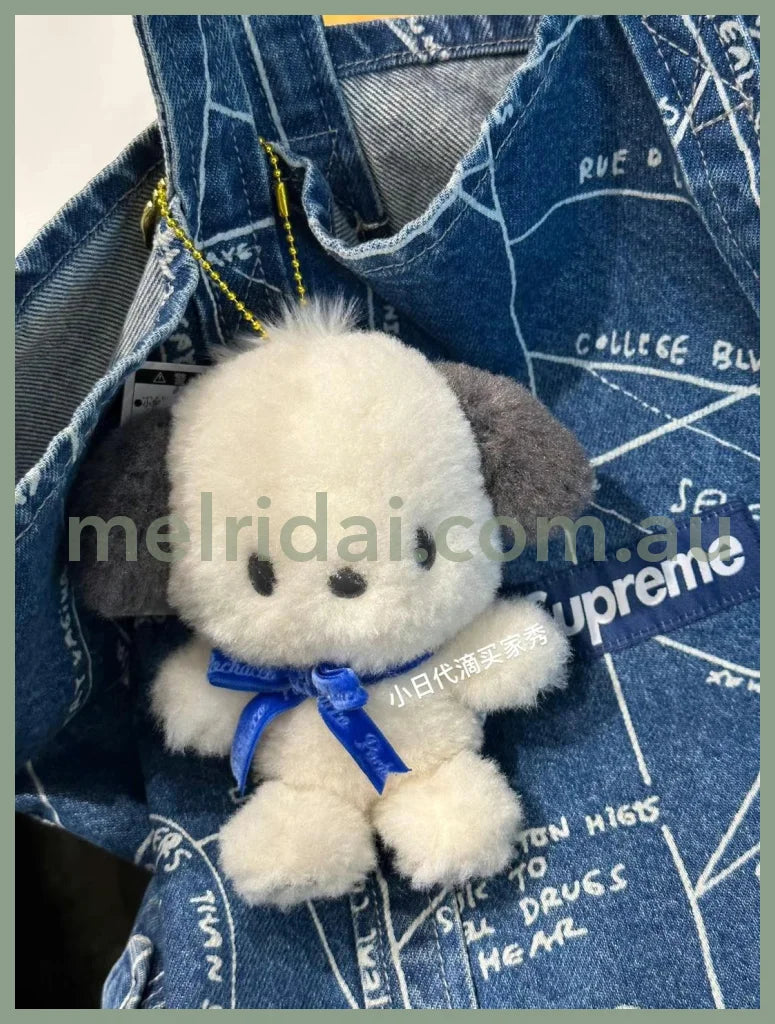 Sanriopochacco Birthday Plush /