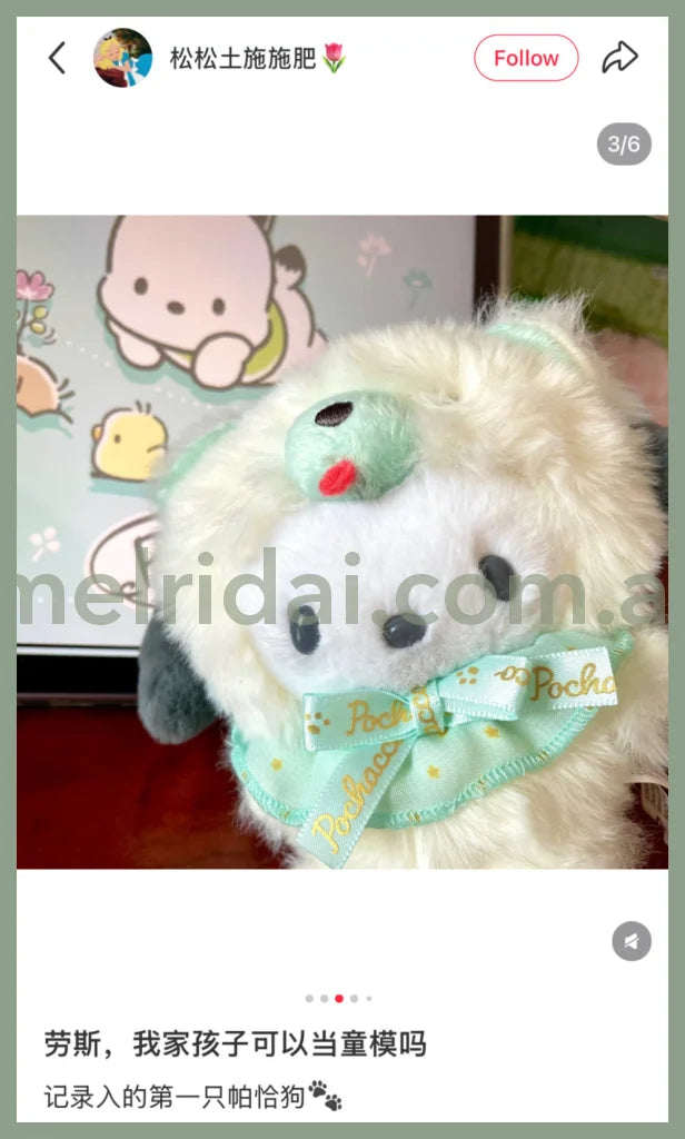 SANRIO | Pochacco Mascot Holder Plush Keychain 13×8×14cm (Fuwamosa Doll)