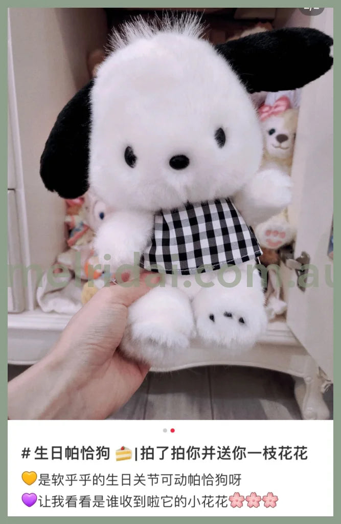 Sanriopochacco Posing Plush Doll Plaid 23 X 18 12Cm //