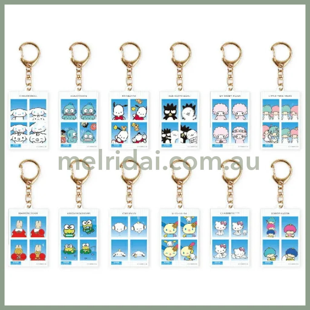 SANRIO | Secret Characters Trading Photo Style Acrylic Keychain Blind Box vol.2 H112 x W40 x D3mm