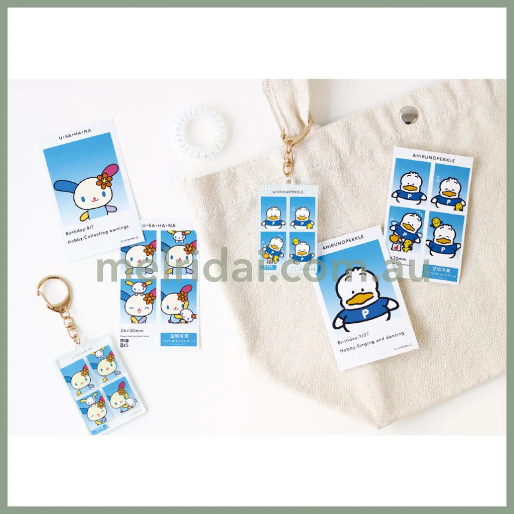 SANRIO | Secret Characters Trading Photo Style Acrylic Keychain Blind Box vol.2 H112 x W40 x D3mm