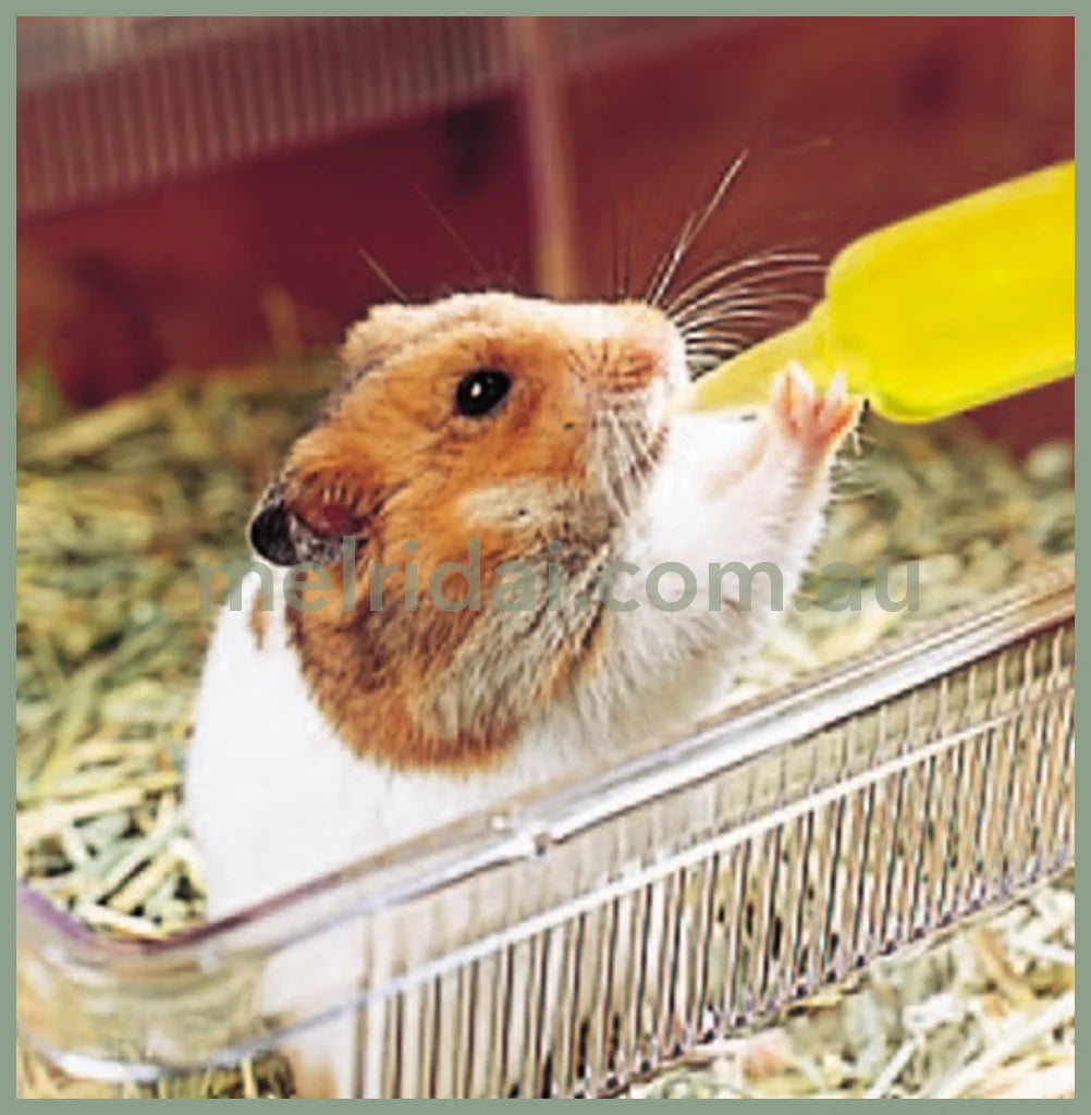 2024.11Marukansmall Animals Vitamins Supplement 10 Bags 5Ml*10