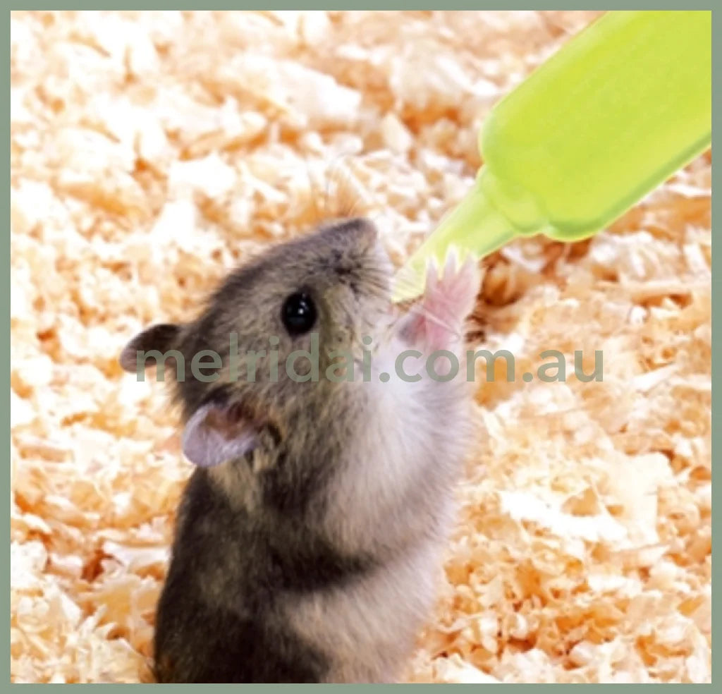 2024.8Marukanstomach Control For Small Animals 10 Bags 5Ml*10