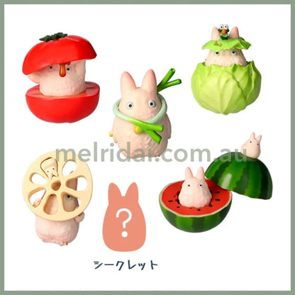Studio Ghibli | My Neighbor Totoro Blind Box Vegetable Collection