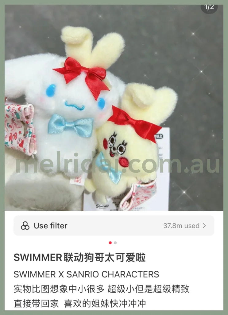 Swimmer X Sanrio | Mascot Holder Keychain 10.5×4.5×11Cm 日本三丽鸥