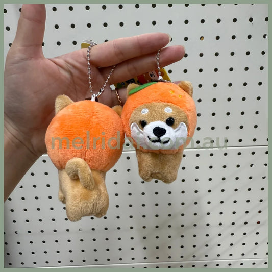 Traveling Mameshiba | Mameko Shiba Mascot Holder Keychain Keyring 7cm Approx. (Orange)