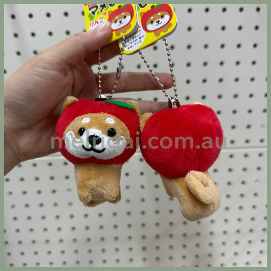 Traveling Mameshiba | Mameko Shiba Mascot Holder Keychain Keyring 7cm Approx. (Red Apple)