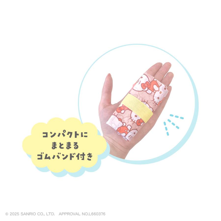 SANRIO | Secret Flodable Eco Bag 490×300mm (Ship Randomly)