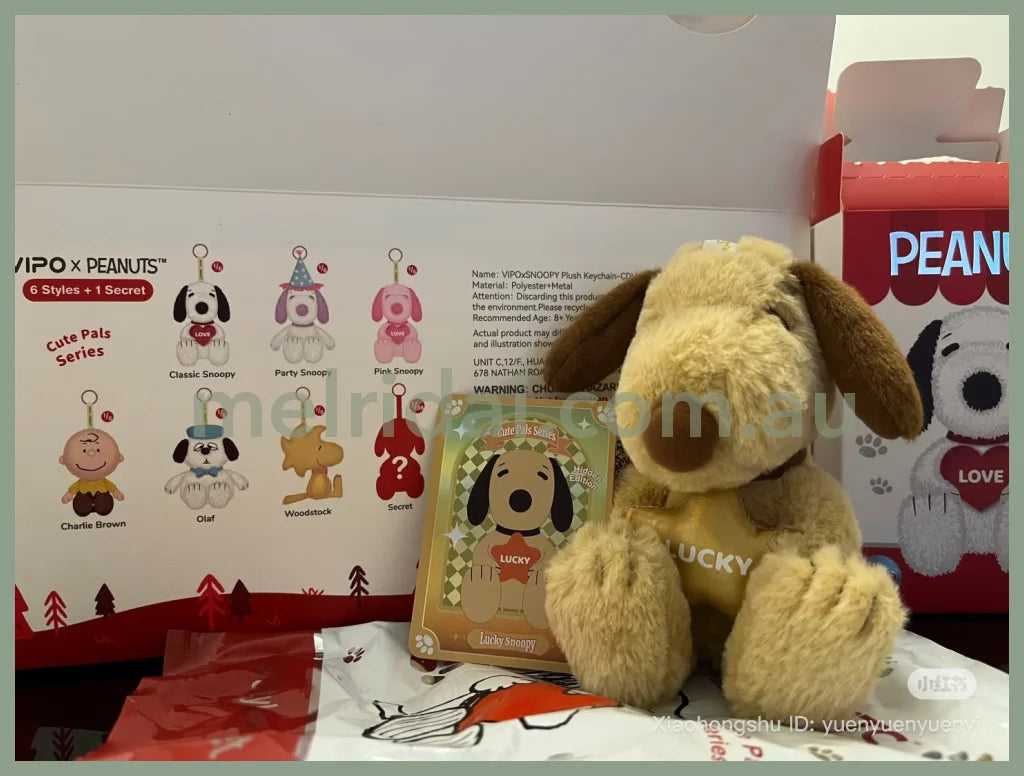 VIPO x Peanuts | Snoopy Cute Pals Series Plush Keychain Blind Box 100 x 100 x 150mm (order six for complete box)