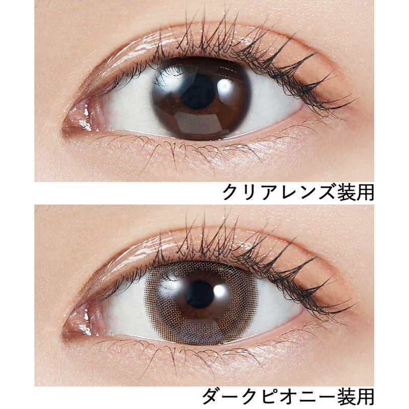 Molak 10Pcs Dark Peony -5.00