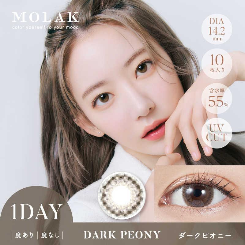 Molak 10Pcs Dark Peony -5.00